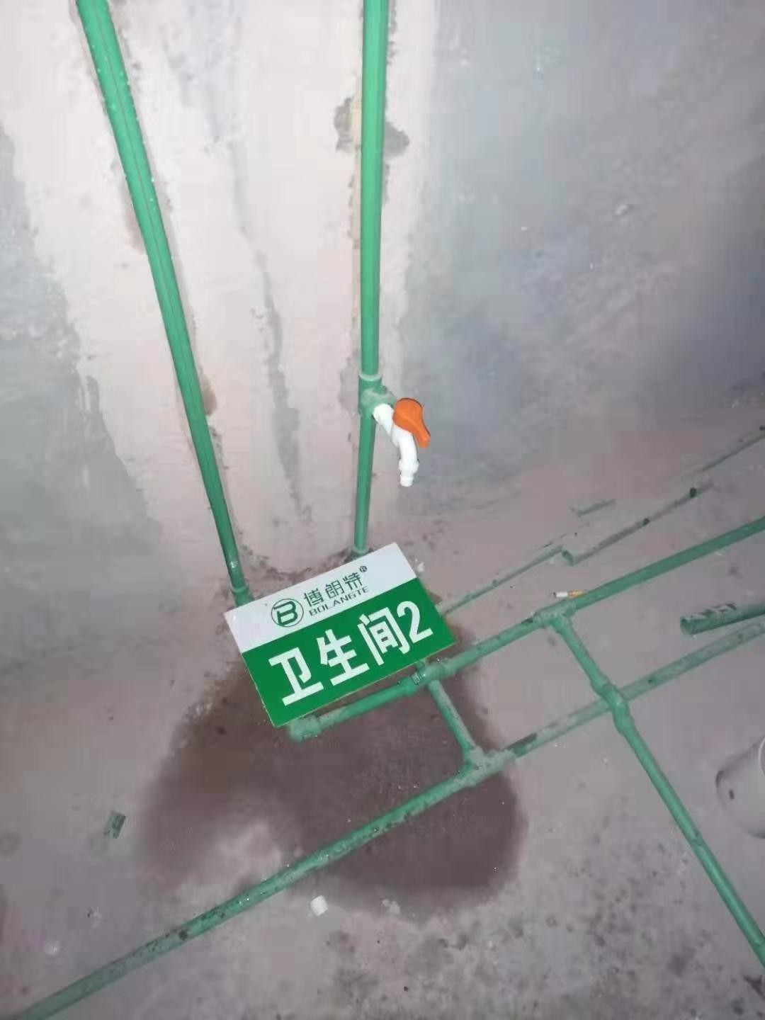 13781866692